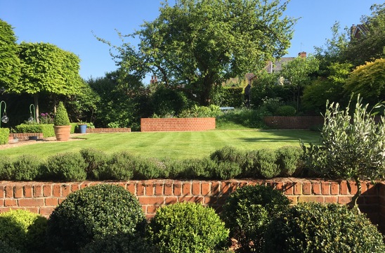 Orange Cottage Garden open to the public as part of “Lavenham’s Hidden Gardens’